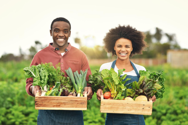 image_crops_and_harvest_sales